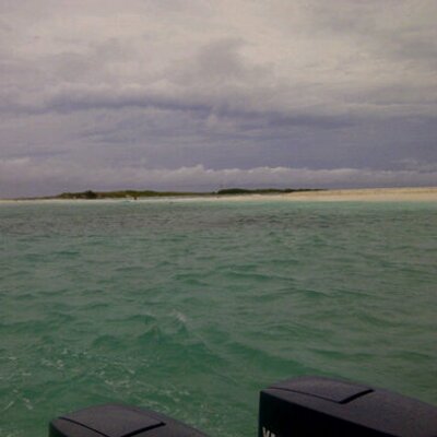 Profile Picture of Gisela Gray (@gisellgray) on Twitter