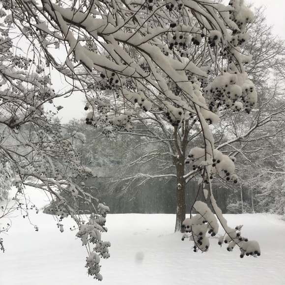 Profile Picture of Denise Hamrick (@denise2050) on Poshmark