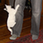 Profile Picture of Patrick Cunningham (@patrick cunningham) on Flickr