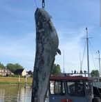 Eric Hussel - Facebook Profile Picture of Eric Hussel (@Eric-Hussel) on Facebook