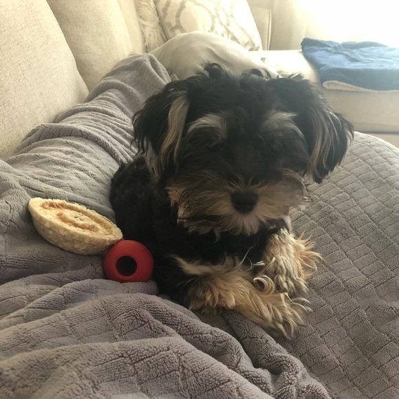 Profile Picture of Melissa Tomei (@mtomei22) on Poshmark