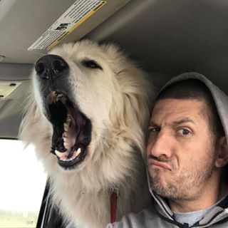 Profile Picture of Joe Prior (@joe.prior.75) on Facebook