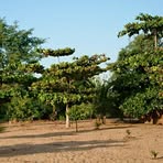 Profile Picture of Hans Armbraster (@hans.armbraster.260798) on Facebook