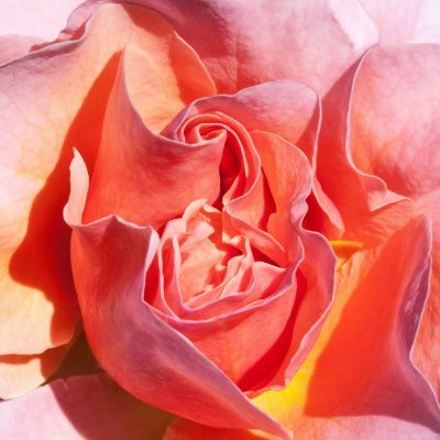 Profile Picture of Ariel Shannon (@love4living__) on Twitter