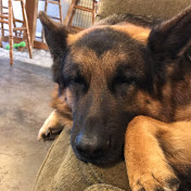 Kyle Soucy - Youtube Profile Picture of Kyle Soucy (@kiul24) on Youtube