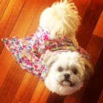 Profile Picture of Lola Hutton Angel (@lolahuttonangel) on Instagram