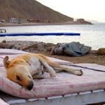 Profile Picture of ZEISE (@ly01zeiseadam) on Instagram