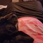 Profile Picture of Miriam Baumann (@mimimsen) on Instagram