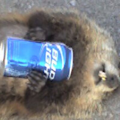 Profile Picture of Greg Dohack (@GDohack) on Twitter