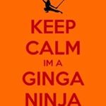 Profile Picture of Chris Walley (@ginganinja11b) on Instagram