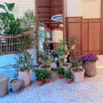 Profile Picture of 김민주 (@minnixbeen) on Instagram