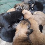 Profile Picture of ibeth ortiz (@ibeth.s_o) on Instagram