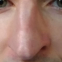 Profile Picture of James Damore's Nose (@DamoresNose) on Twitter