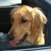 Profile Picture of Russell Alger (@russell.alger.5) on Facebook