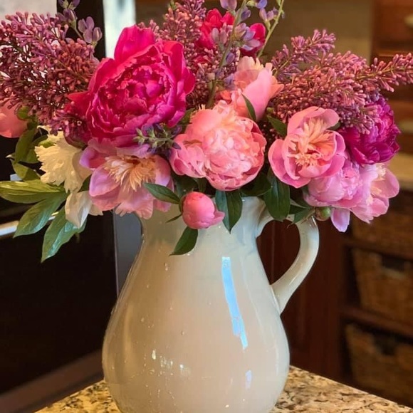 Profile Picture of Pamela Stallings (@walpam) on Poshmark