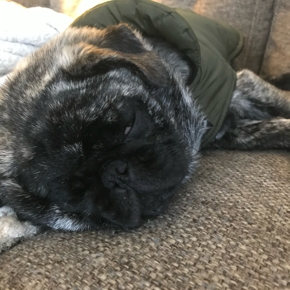 Profile Picture of Michael Maschek (@themascheks1) on Poshmark