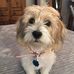 Profile Picture of Faye Perry Purtle (@faye.purtle) on Facebook