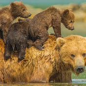 Profile Picture of M Hernandez (@mariahernandez4u) on Youtube