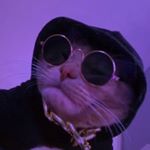 Profile Picture of Patrick Kim (@patrickkimm) on Instagram