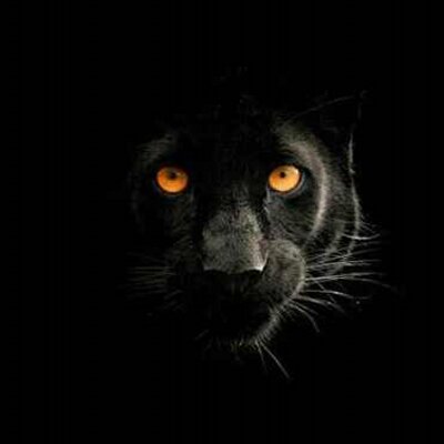 Profile Picture of Deborah Chavira (@Renovatergod) on Twitter