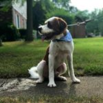 Profile Picture of Conrad Barnard (@conrad_barn_127) on Instagram