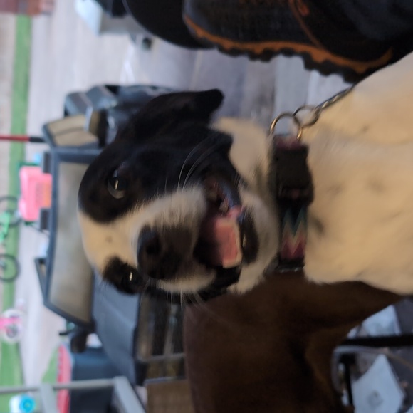 Profile Picture of John Clayton (@imjohnny88) on Poshmark