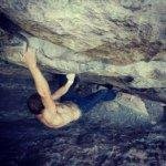 Profile Picture of Joe Tolerico (@floragemva) on Instagram