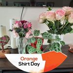 Profile Picture of Simone Surette Frotten (@simonefrotten) on Instagram