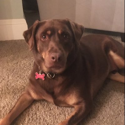 Paige McCann - Twitter Profile Picture of Paige McCann (@mccannpaige1) on Twitter