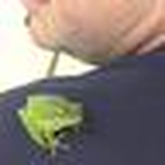 Profile Picture of Michael Lacey (@_ml) on Flickr