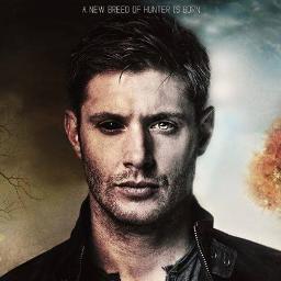 Profile Picture of Marcus Winchester (@DollyCitrus3) on Twitter