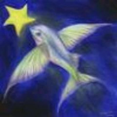 Profile Picture of Michael Cavalli (@beaucorrbansla1) on Twitter