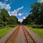 Profile Picture of Forrest Nicholson (@forrestj14) on Instagram