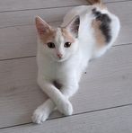 Profile Picture of Daniel Dogaru (@Daniel-Dogaru) on Facebook