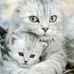 Profile Picture of Barbara Plummer (@barbara.plummer.1042) on Facebook