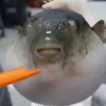 Carson Ross - Instagram Profile Picture of Carson Ross (@carson_ross123) on Instagram