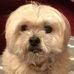 Profile Picture of Mark Wheeler (@mark.wheeler.9028) on Facebook