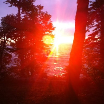 Profile Picture of Rebecca Mancuso (@Mancuso2Rebecca) on Twitter