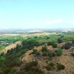 Profile Picture of Deborah Wade (@buffanjan) on Instagram