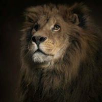 Profile Picture of Julián Vera (@julinvera) on Pinterest