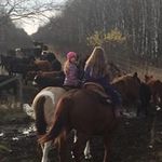 Profile Picture of Dennis McMahon (@dennis.mcmahon.775) on Instagram