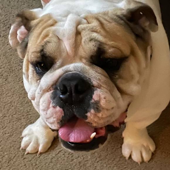 Profile Picture of Kerri Banner-hines (@kerrihines) on Poshmark