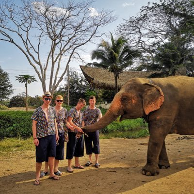 Profile Picture of Aaron Byrne (@aaronbyrne95) on Twitter
