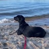 Profile Picture of Josephine Toft (@@josephinetoft) on Tiktok