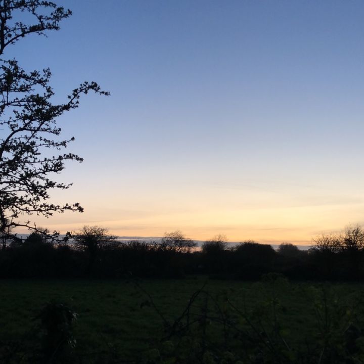 𖣂 - Tiktok Profile Picture of 𖣂 (@blaisegsy) on Tiktok