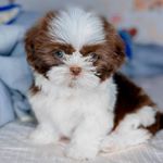 Profile Picture of lisa_billy_barcelox (@lisa_billy_barcelox) on Instagram