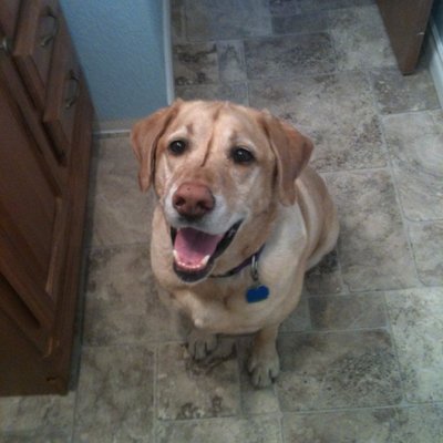 Profile Picture of John Charles Jeffers (@BosnJohn) on Twitter