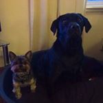 Profile Picture of Pat Pollock (@patpollock) on Instagram