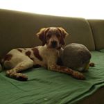 Profile Picture of Eliška Čermáková a Kevin (@_kevin_king_27) on Instagram