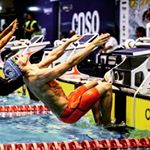 alex hermosilla - Instagram Profile Picture of alex hermosilla (@alex_hermosilla) on Instagram